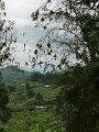 236 234 P1130104